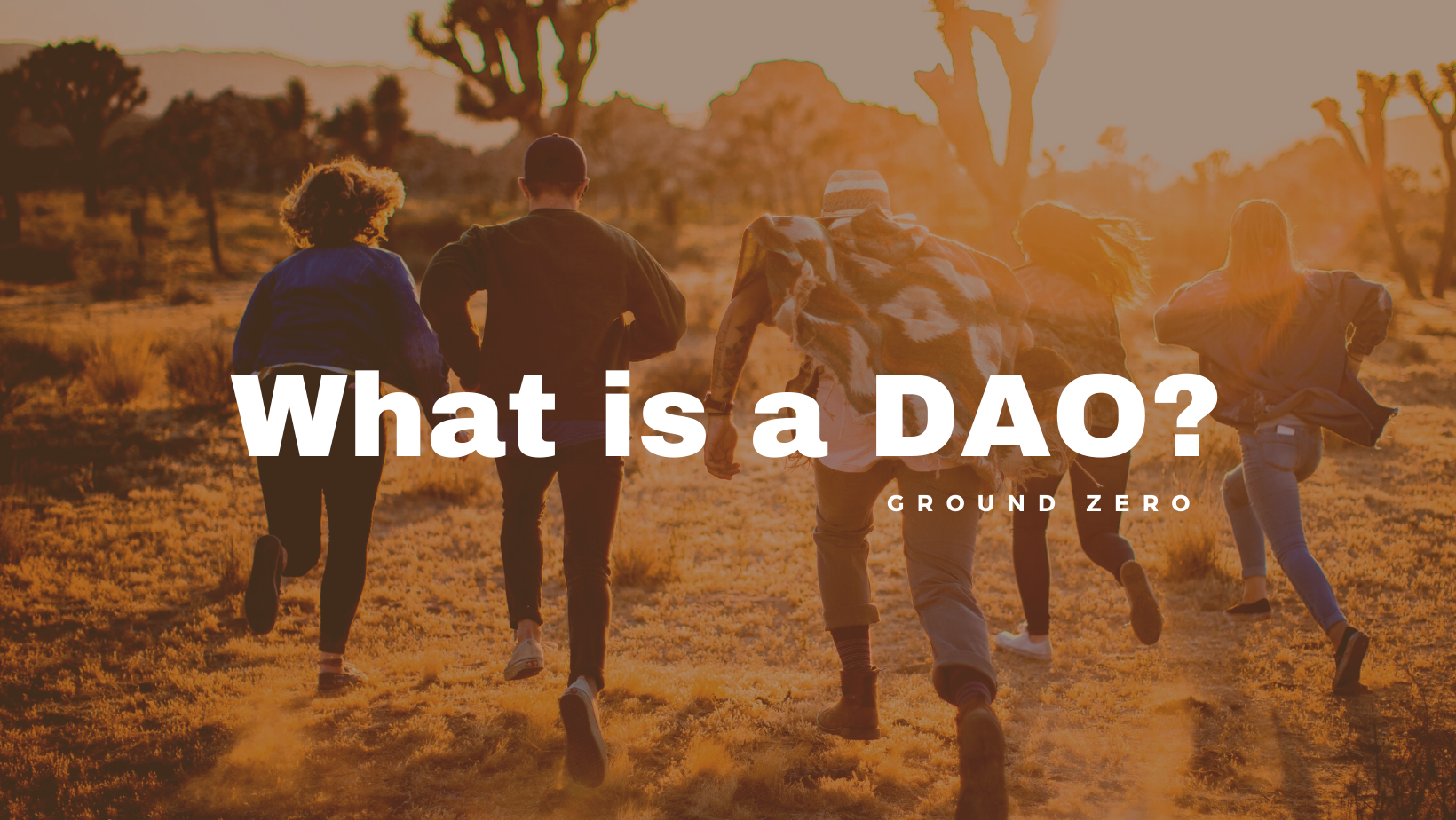 https://groundzero.superteam.fun/dao/so-what-is-a-dao-again